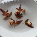 하이소 싹쓰리 이미지