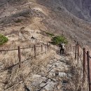 희방사 입구 | 바람마저 멈춘 11월의 소백산 등산후기(희방사, 비로봉, 삼가동코스)