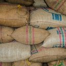 주식회사 비즈모아코리아 이미지