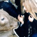 테크메디아 이미지