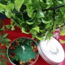 쉼표이야기 이미지