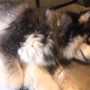 봉봉이 놀이터 이미지