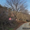 자원부동산중개사무소 이미지