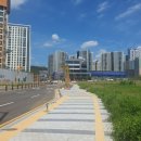 고산 품 태권도장 이미지