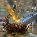 대영약국 | 🇻🇳 3박 5일 나트랑 🇻🇳