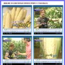 적상면011 이미지