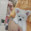 숭의시장 사거리 이미지