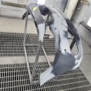 명도자동차공업사 이미지