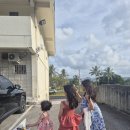 다둥이카서비스 | 다둥이가족두번째괌여행③리틀피카스,ABC마트,에메랠드밸리,괌마루식당