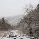 순간이동한 듯… 오대산에, 東海에 닿았다 이미지