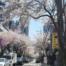 양재대로62길 이미지