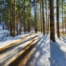 (주)방아다리 이미지