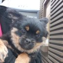 석남지구대 이미지