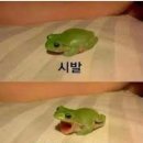 아크로호텔