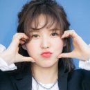 와니 이미지