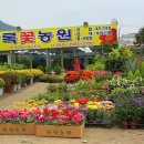 순동농장 Daum카페