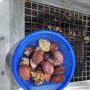 서해바다 | 조개구이 맛집, 전북 고창 『서해바다』, 내돈내산 솔직후기