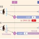 안경사랑안경원 이미지