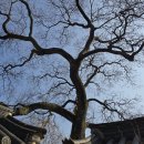 산청군농협본점하나로마트 이미지