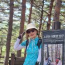 오팔 우먼 산우님. 이미지