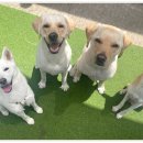 아이조아 요양보호소 경기광주 이미지