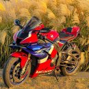 RPM 바이크 | 혼다CBR1000RR-R 파이어블레이드 SP 혼다 오토바이 기술력을 쏟아부은 리터급 슈퍼 스포츠 바이크