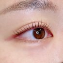 다올동물병원 | 전주 속눈썹펌 끝장나게 잘하는 곳 “솔랑” | 효자동속눈썹펌 전주네일아트