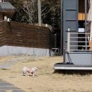 만그루