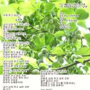 오색엄마밥상 이미지