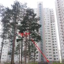 능곡제일한의원 이미지