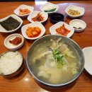 속시원한대구탕 | 해운대 맛집 속시원한대구탕 혼밥 후기
