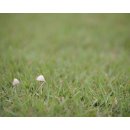 박석캠핑장 이미지