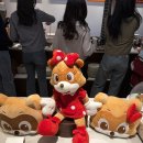 라온캣호텔 잠실점 | 잠실 롯데호텔 월드 라세느 주말디너 뷔페 주차 기념일이벤트예약 후기