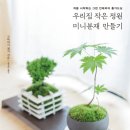 그린인테리어 홈가드닝 이미지