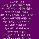 용인대 은성 태권도 이미지