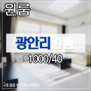 이쁜집