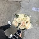 더휴리 뉴욕 스냅 웨딩스냅 뉴욕여행 덤보 브루클린 브릿지 스냅촬영 후기