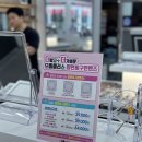 으뜸플러스안경 서울등촌역점 이미지