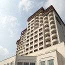 클럽 플로라 이미지