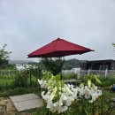 장수하늘소농장 이미지