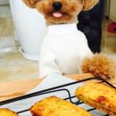 이웃집모모 이미지