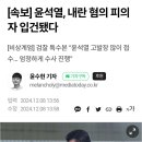 [속보] 윤석열, 내란 혐의 피의자 입건됐다 이미지