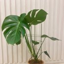 (주)아라마루 이미지