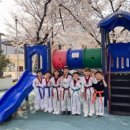 상무태권도 이미지