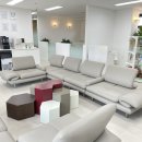 펫글뷰티 이미지