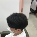 시스템엘르