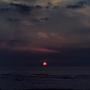 다모리네 이미지