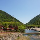 옥천보건지소 이미지