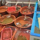 문어일미 이미지