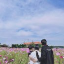 “백설농부” + “아그로랜드 태신목장” ㅡ 충청도...방문후기 / 예산 아그로랜드 태신목장 체험 방문후기